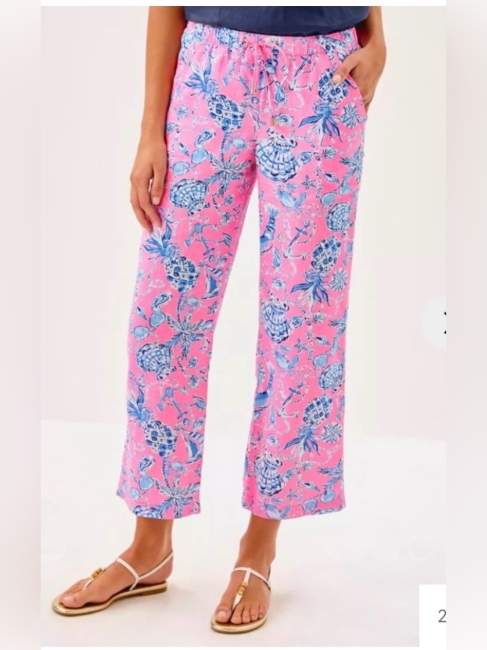 Lilly Pulitzer Brawley Linen Pants XS